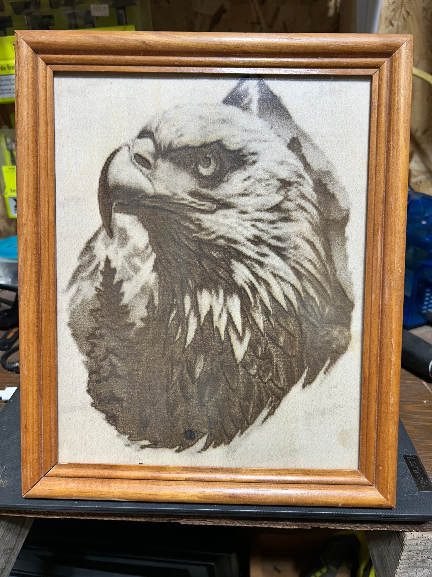 Eagle Framed