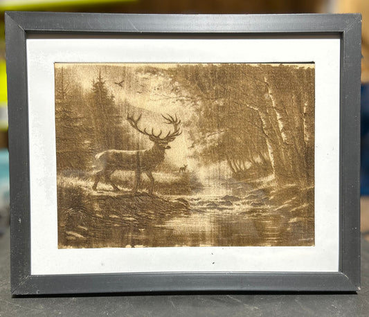Deer in Forrest